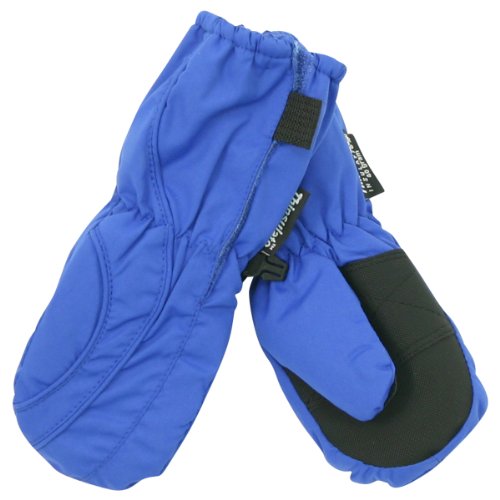 Toddler Boy's (2 - 4) Long Thinsulate Lined / Wateproof Ski Mittens - Royal