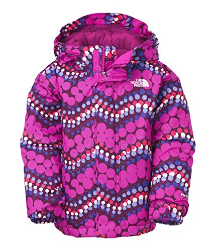 The North Face Toddler Girl's Insulated Avery Jacket 2T Parlour Purple
